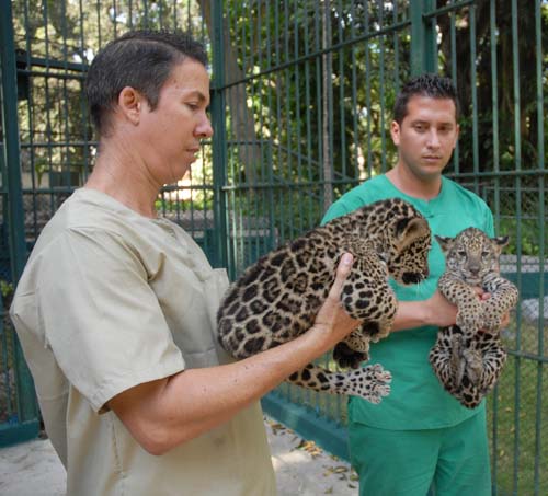 Fotos: Ismael Batista