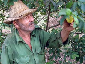 Foto: Daniel Mitjans 