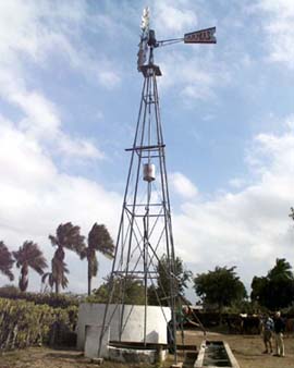 Foto: AHMED VELZQUEZ