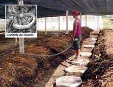 Foto: ARNALDO SANTOS