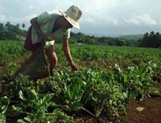 Foto: JUAN PABLO CARRERAS
