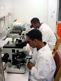 Foto: RA�L L�PEZ