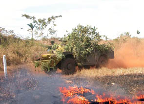 Cohesi�n 04 NY_gral4