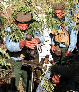 Cohesi�n 13  NY_mili3