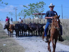 Foto: JORGE LUIS TLLEZ