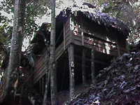 Foto: REY VILLA