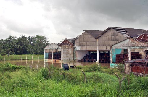 Foto: ALBERTO BORREGO