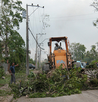 Foto: JORGE LUIS GONZLEZ