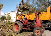 Foto: ALBERTO BORREGO