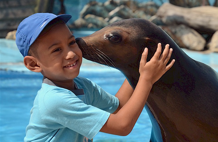 Both looking happy, a child holds a sea lion with both hands, while the animal simulates a kiss.