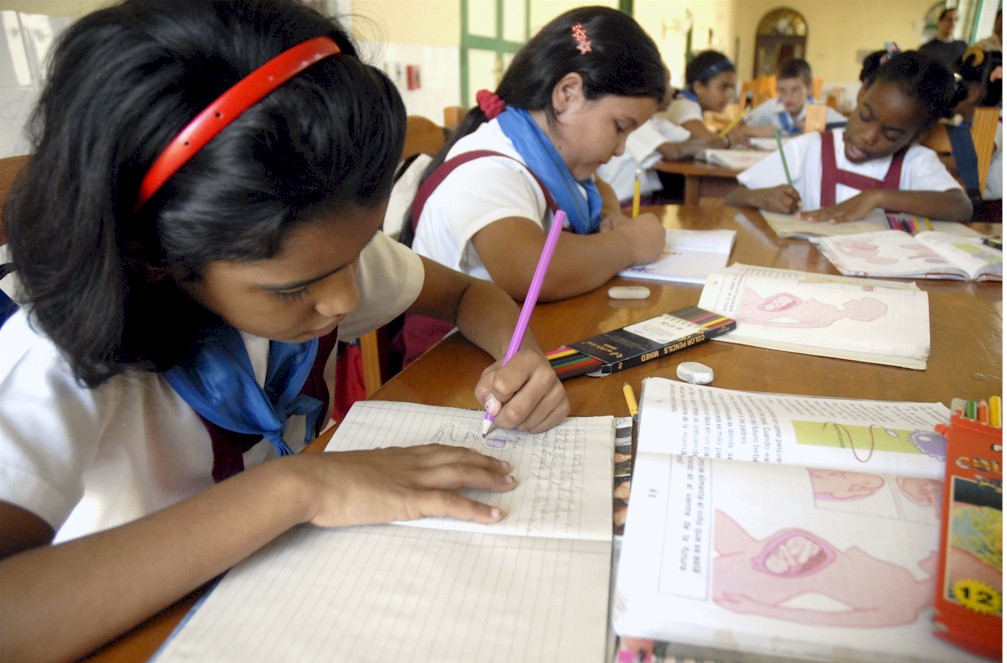 Schools will have greater autonomy in regards to organization of the education process.