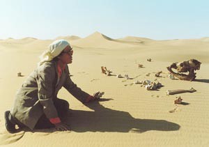 Desertificazione e  siccit, problemi mondiali